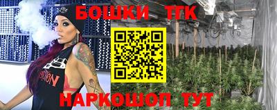 ECSTASY Камышлов
