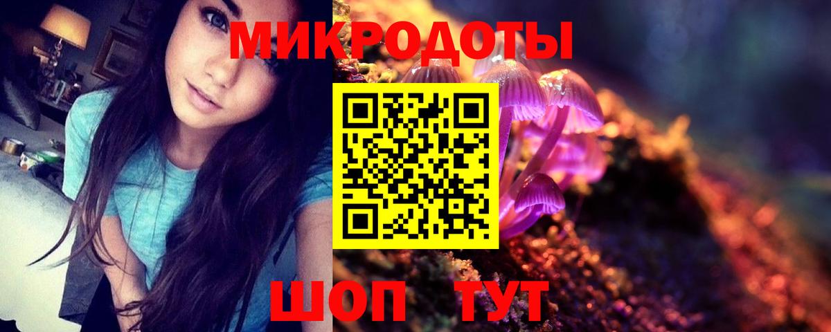 Курчалой  купить закладку  Вход с VPN  Галлюциногенные грибы GOLDEN TEACHER  Псилоцибиновые грибы GOLDEN TEACHER 